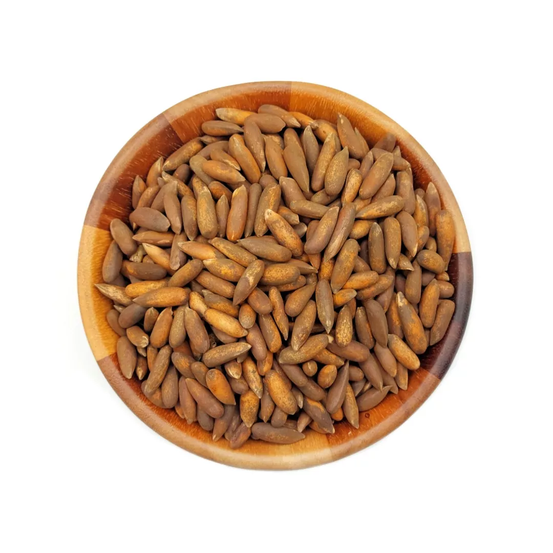 Pinienkerne (Jalghoza) aus Afghanistan – Frische Ernte 2023